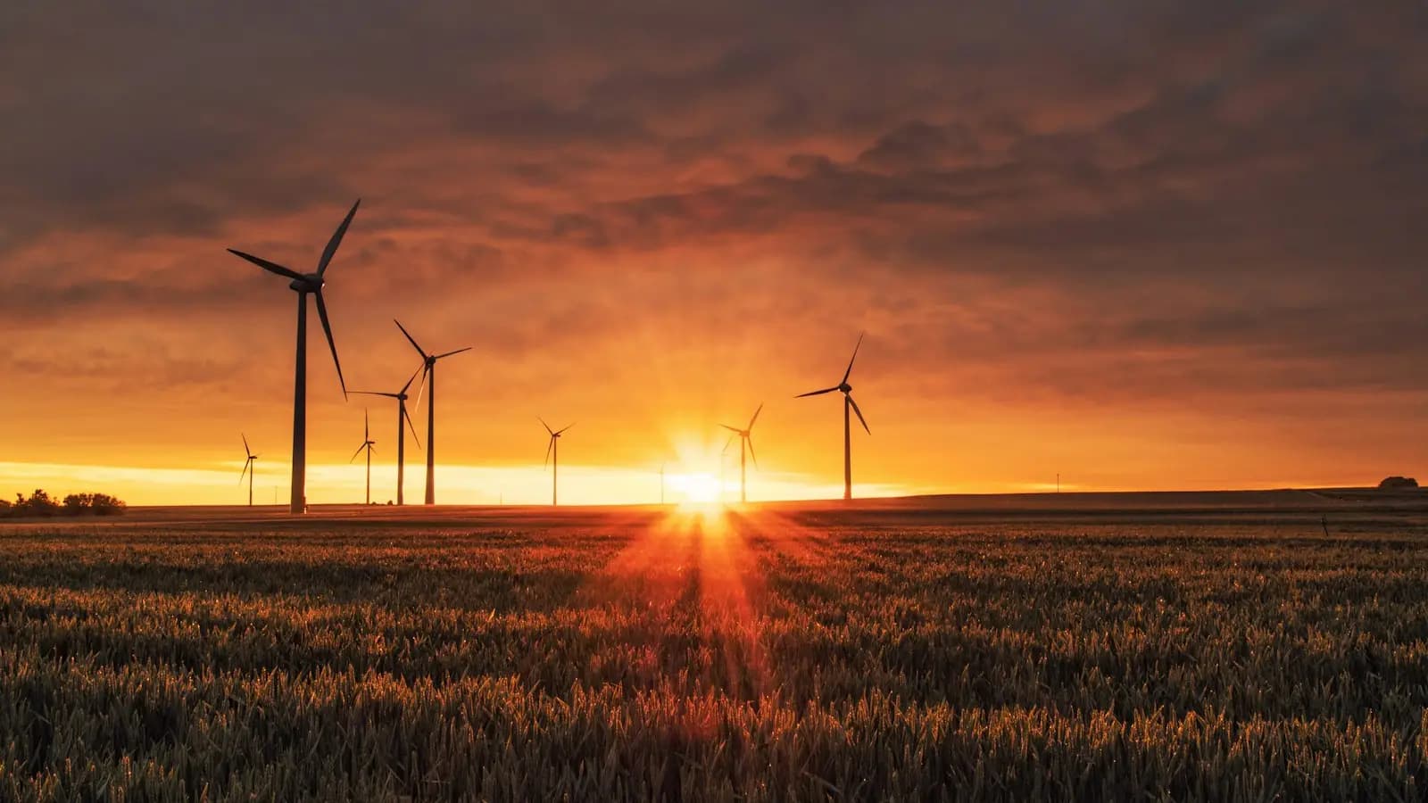 Wind turbines on a plain at sunset