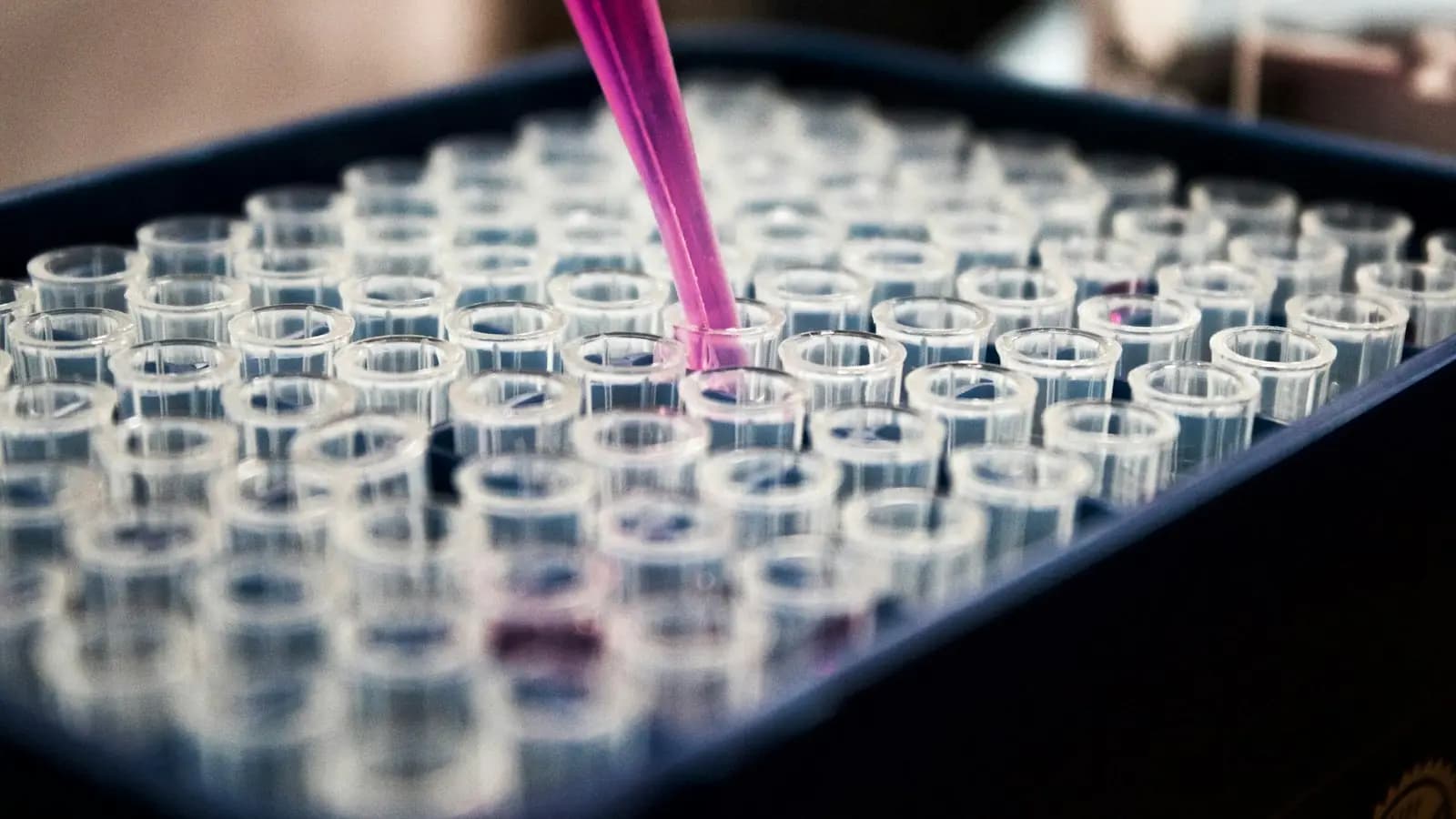 Pipette dispensing liquid into a laboratory microplate